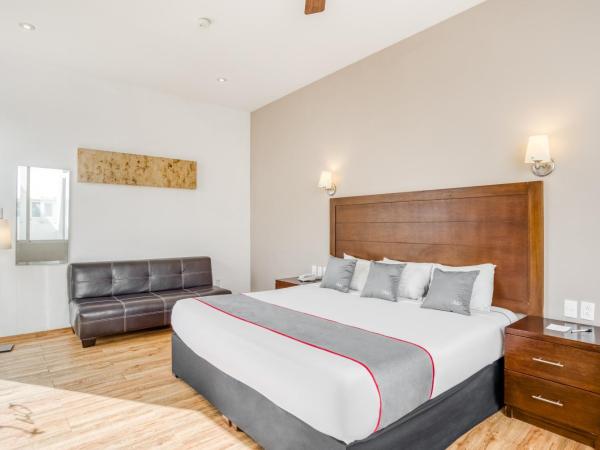 Hotel Quinta Allende : photo 10 de la chambre chambre deluxe