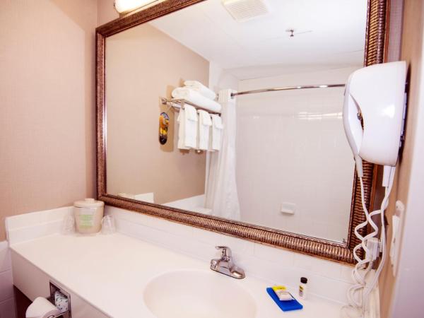 Holiday Inn Express Red Deer, an IHG Hotel : photo 3 de la chambre chambre standard avec 2 lits queen-size
