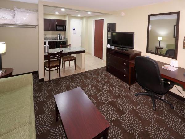 Holiday Inn Express Pittsburgh West - Greentree, an IHG Hotel : photo 1 de la chambre suite lit king-size