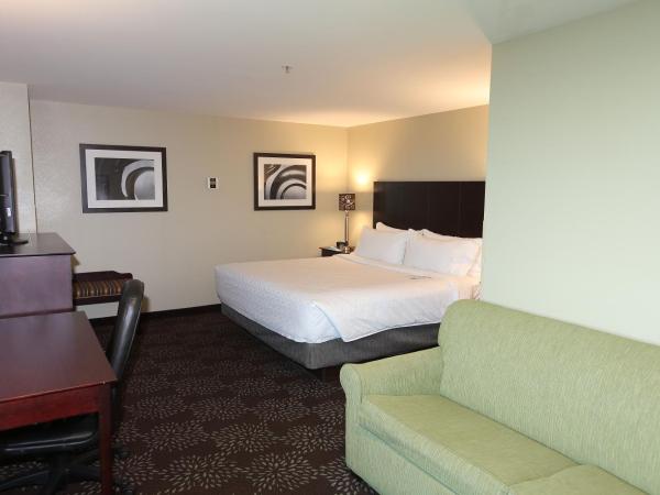 Holiday Inn Express Pittsburgh West - Greentree, an IHG Hotel : photo 2 de la chambre chambre king standard avec canapé-lit