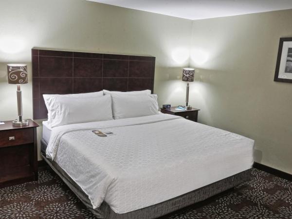 Holiday Inn Express Pittsburgh West - Greentree, an IHG Hotel : photo 3 de la chambre suite lit king-size avec canapé-lit