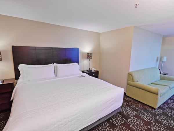 Holiday Inn Express Pittsburgh West - Greentree, an IHG Hotel : photo 1 de la chambre chambre lit king-size avec canapé-lit