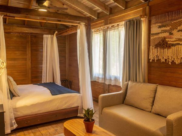 Selina Poc Na Isla Mujeres : photo 4 de la chambre chambre unique