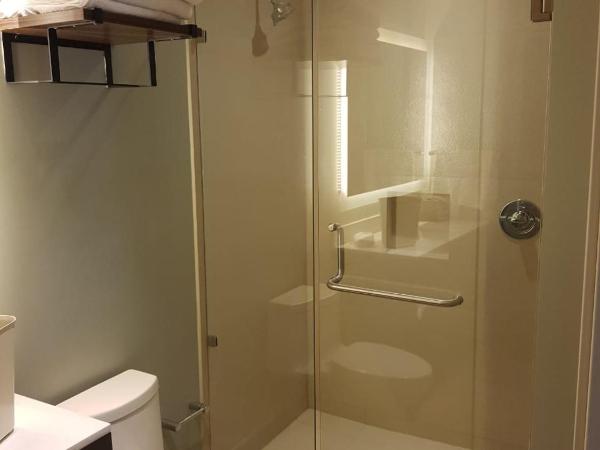 Staybridge Suites - Guadalajara Novena, an IHG Hotel : photo 5 de la chambre suite studio avec 2 lits queen-size