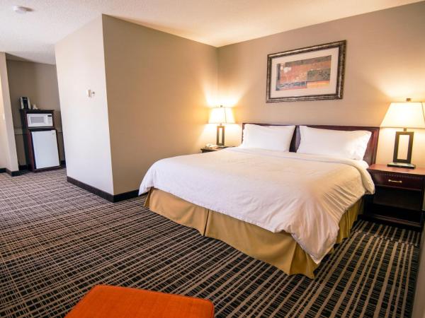 Holiday Inn Express Red Deer, an IHG Hotel : photo 1 de la chambre chambre lit king-size standard avec baignoire accessible aux personnes à mobilité réduite - adaptée aux personnes à mobilité réduite
