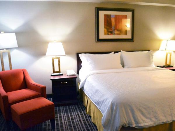 Holiday Inn Express Red Deer, an IHG Hotel : photo 3 de la chambre chambre lit king-size standard avec baignoire accessible aux personnes à mobilité réduite - adaptée aux personnes à mobilité réduite