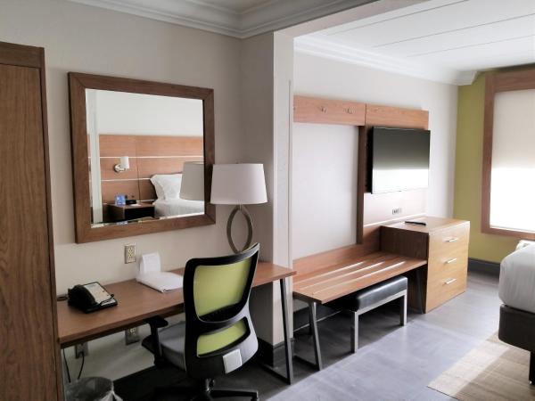 Holiday Inn Express Columbia NE - Fort Jackson : photo 4 de la chambre chambre king standard avec canapé-lit
