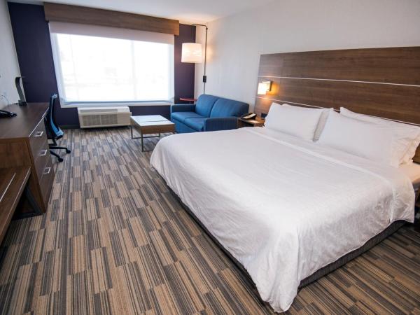 Holiday Inn Express - Red Deer North, an IHG Hotel : photo 3 de la chambre chambre lit king-size exécutive avec canapé-lit