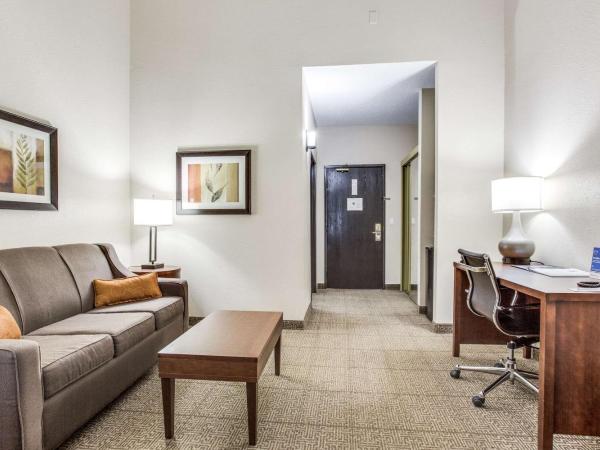 Comfort Inn & Suites Love Field-Dallas Market Center : photo 3 de la chambre suite lit king-size – non-fumeurs