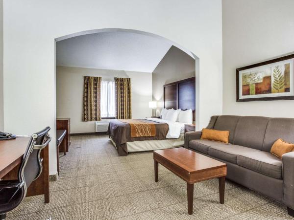 Comfort Inn & Suites Love Field-Dallas Market Center : photo 2 de la chambre suite lit king-size – non-fumeurs