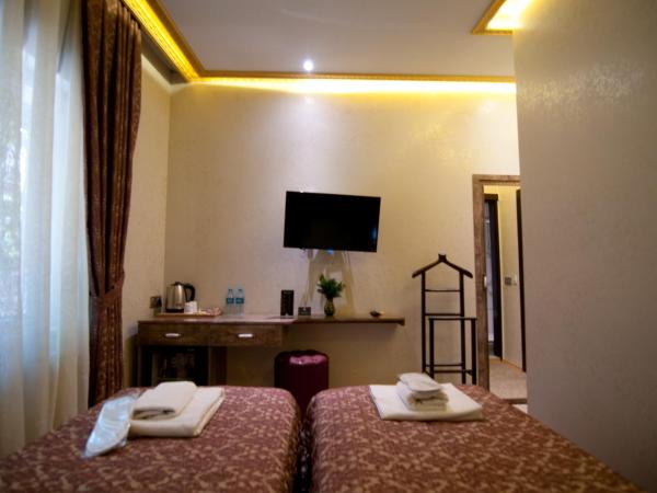 Grand Ambiance Hotel : photo 2 de la chambre chambre lits jumeaux standard