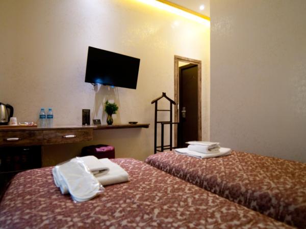 Grand Ambiance Hotel : photo 3 de la chambre chambre lits jumeaux standard