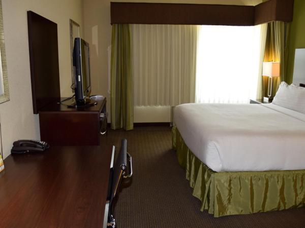 Holiday Inn Houston West Energy Corridor, an IHG Hotel : photo 4 de la chambre chambre lit king-size