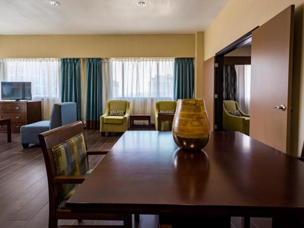 Holiday Inn Houston Downtown, an IHG Hotel : photo 7 de la chambre suite 1 chambre lit king-size