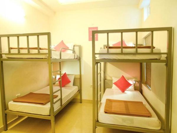 Zostel Jaipur : photo 2 de la chambre bed in 4-bed mixed dormitory room (shared washroom)