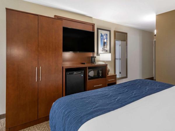 Comfort Inn Nashville - Opryland Area : photo 2 de la chambre chambre lit king-size - accessible aux personnes à mobilité réduite/non-fumeurs