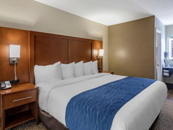 Comfort Inn Nashville - Opryland Area : photo 3 de la chambre chambre lit king-size - non-fumeurs