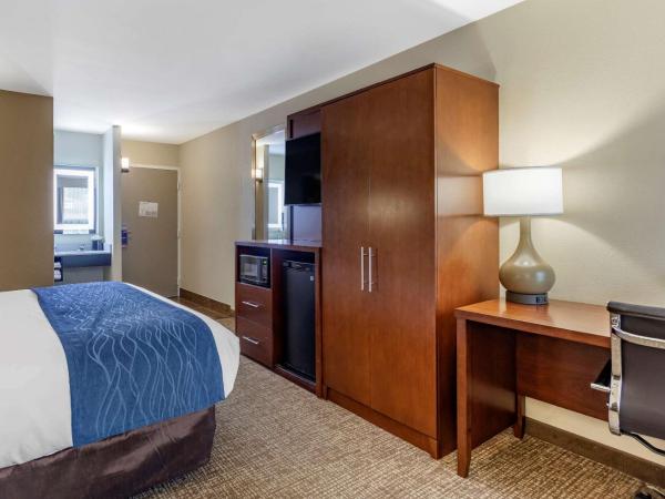 Comfort Inn Nashville - Opryland Area : photo 4 de la chambre chambre lit king-size - non-fumeurs
