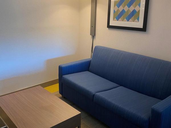 Holiday Inn Express & Suites Columbia-I-26 @ Harbison Blvd, an IHG Hotel : photo 4 de la chambre suite 1 chambre lit king-size