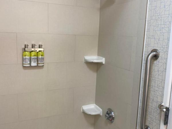 Holiday Inn Express & Suites Columbia-I-26 @ Harbison Blvd, an IHG Hotel : photo 2 de la chambre chambre lit king-size - accessible aux personnes à mobilité réduite / adapté aux malentendants