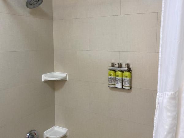 Holiday Inn Express & Suites Columbia-I-26 @ Harbison Blvd, an IHG Hotel : photo 2 de la chambre suite 1 chambre lit king-size