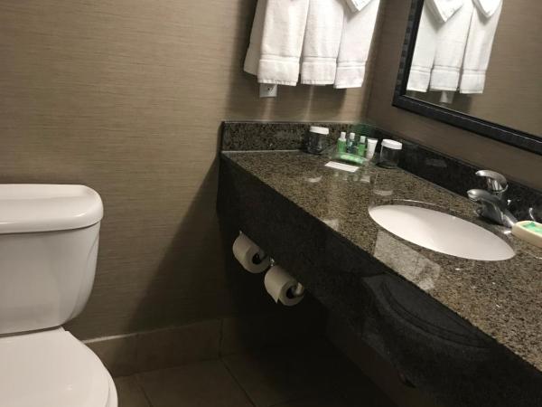 Holiday Inn & Suites Albuquerque-North I-25, an IHG Hotel : photo 2 de la chambre chambre lit king-size standard