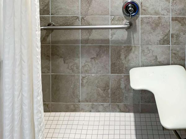 Comfort Inn : photo 4 de la chambre chambre lit king-size - accessible aux personnes à mobilité réduite/non-fumeurs