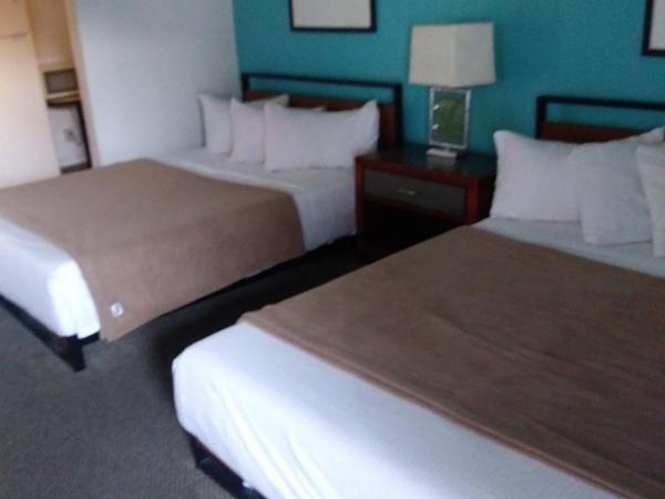 Desert Hills Motel : photo 3 de la chambre chambre avec 2 grands lits queen-size 