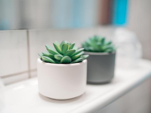 Airport Lounge Hotel Düsseldorf : photo 5 de la chambre chambre simple