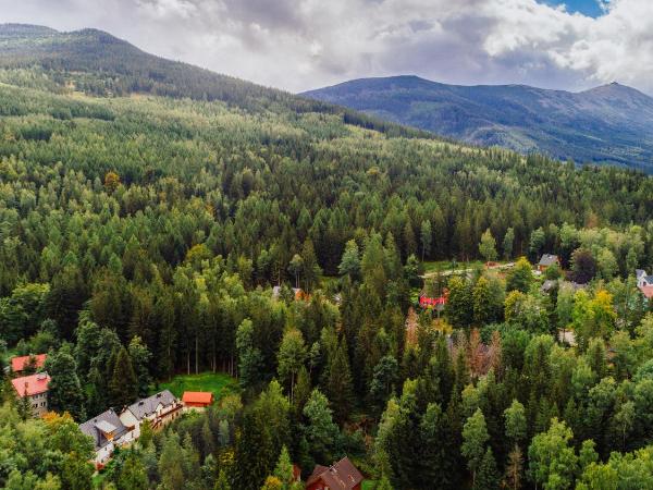 WILLA IZBICA KARPACZ : photo 2 de la chambre chambre triple confort