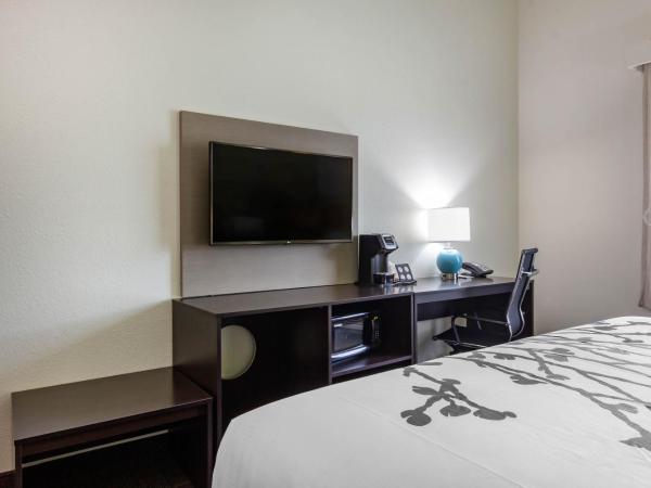Sleep Inn & Suites Tampa South : photo 3 de la chambre chambre lit king-size - accessible aux personnes à mobilité réduite/non-fumeurs