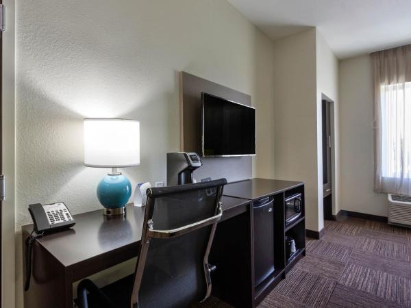 Sleep Inn & Suites Tampa South : photo 3 de la chambre suite avec lit king-size pour personnes à mobilité réduite - non-fumeurs