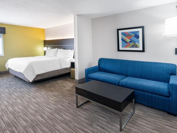 Holiday Inn Express Hotel & Suites Albuquerque - North Balloon Fiesta Park, an IHG Hotel : photo 3 de la chambre suite lit king-size – non-fumeurs