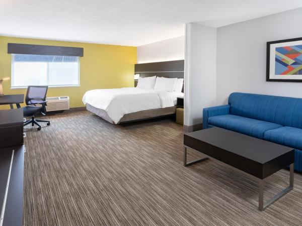 Holiday Inn Express Hotel & Suites Albuquerque - North Balloon Fiesta Park, an IHG Hotel : photo 3 de la chambre suite lit king-size avec canapé-lit - adaptée aux personnes malentendantes