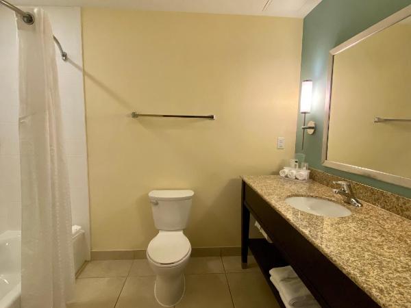Holiday Inn Express Hotel & Suites Orlando East-UCF Area, an IHG Hotel : photo 1 de la chambre chambre lit king-size