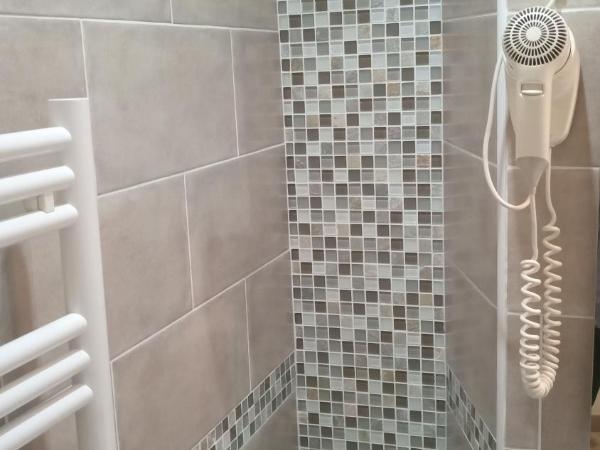 Hôtel De La Perdrix Rouge : photo 6 de la chambre chambre simple avec douche