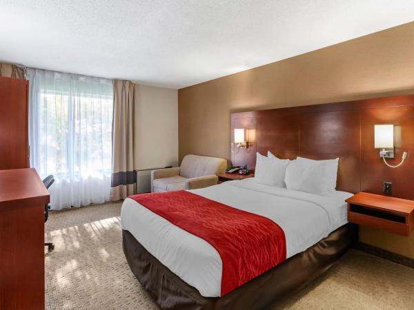 Comfort Inn Airport West : photo 2 de la chambre chambre lit queen-size standard - non-fumeurs