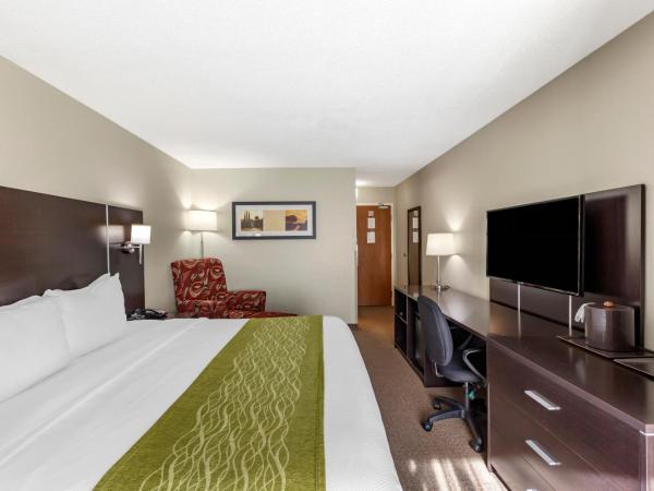 Comfort Inn Airport West : photo 1 de la chambre chambre lit king-size