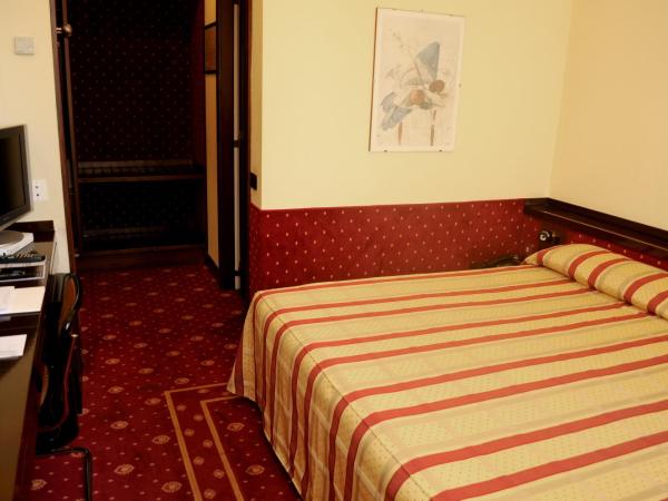 Hotel Excelsior San Marco : photo 1 de la chambre chambre double standard