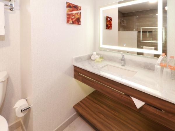 Holiday Inn & Suites - Monterrey Apodaca Zona Airport, an IHG Hotel : photo 1 de la chambre hébergement lit king-size standard