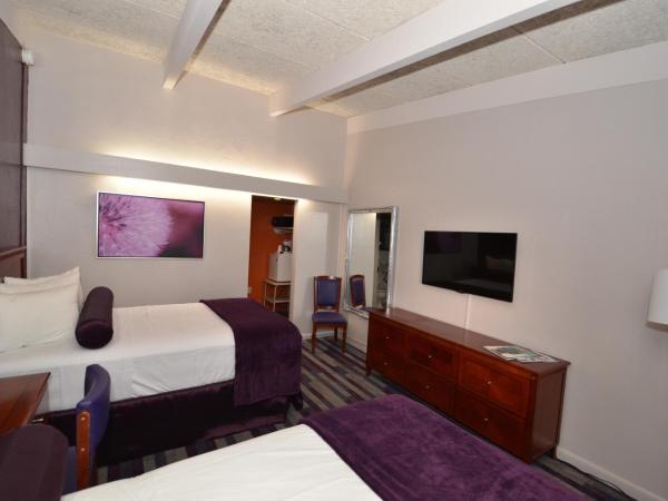 Sea Club Ocean Resort : photo 2 de la chambre chambre double avec 2 lits doubles (3 adultes)