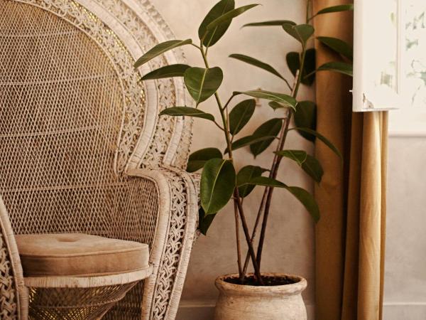 Shila Athens : photo 5 de la chambre attic antique