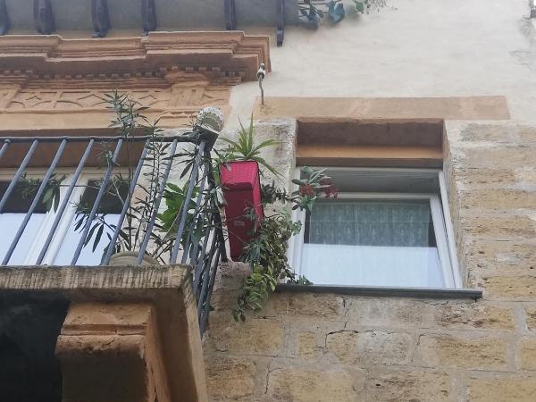 Arimatea Accommodations : photo 7 de la chambre chambre lit king-size - vue sur jardin