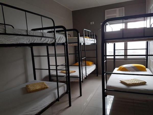 The Cozy Hostel - Motel : photo 4 de la chambre bed in 6-bed female dormitory room (18 to 35yo)