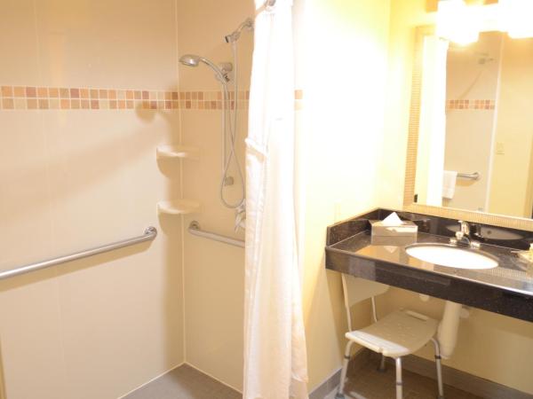 Holiday Inn Houston West Energy Corridor, an IHG Hotel : photo 2 de la chambre chambre lit queen-size avec douche à l'italienne - accessible aux personnes à mobilité réduite