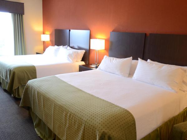 Holiday Inn Houston West Energy Corridor, an IHG Hotel : photo 2 de la chambre chambre standard