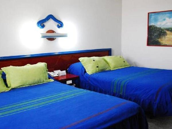 Aristos Puebla : photo 2 de la chambre room #7819123