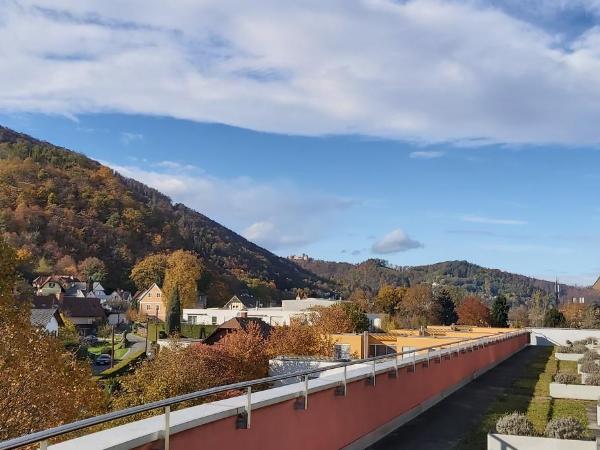 Hotel Bokan Exclusiv : photo 1 de la chambre chambre double avec terrasse