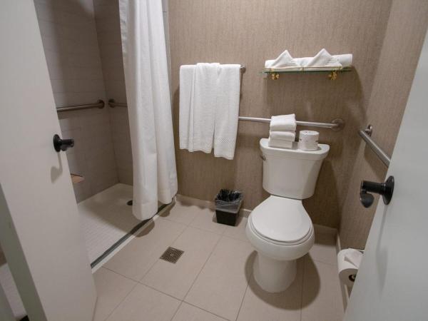 Claridge House : photo 5 de la chambre chambre lit king-size avec douche accessible en fauteuil roulant - adaptée aux personnes à mobilité réduite