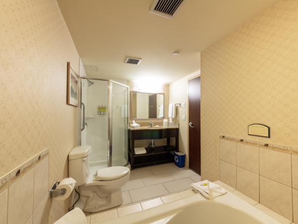 Holiday Inn Express & Suites Riverport Richmond, an IHG Hotel : photo 5 de la chambre suite lit king-size avec baignoire spa